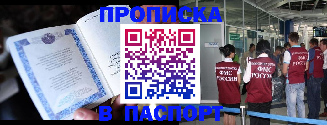 временная регистрация поиск в Тереке